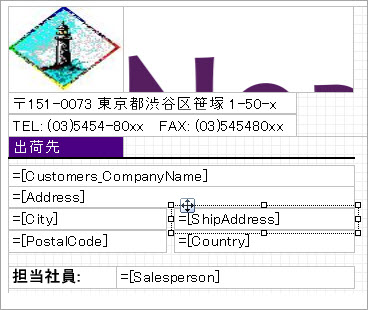Hide Data Field Icon