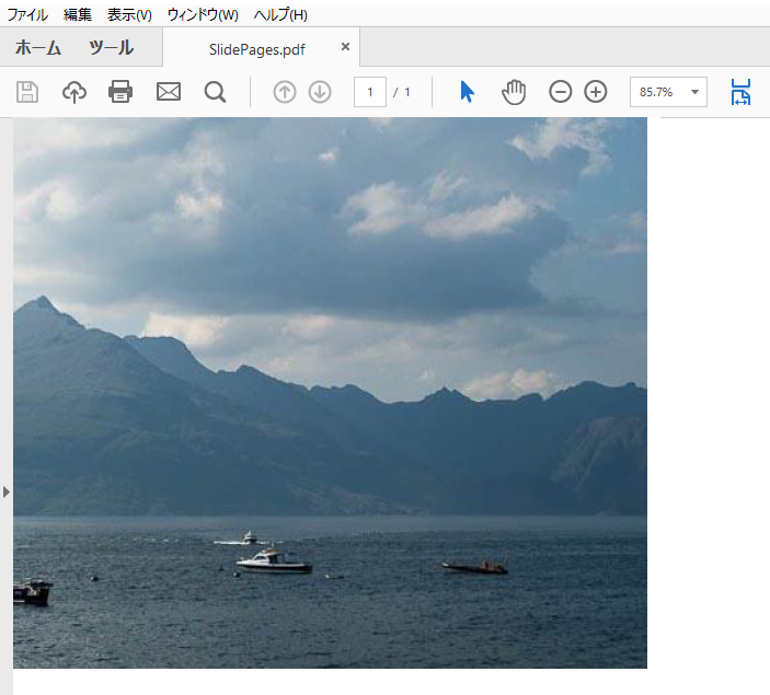 PDF の画像